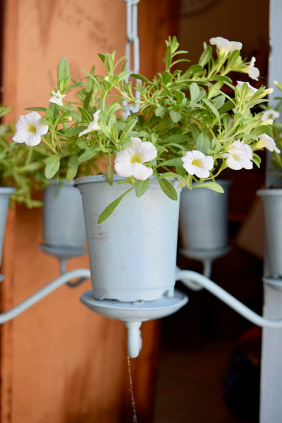 All Things Fusion (In-person Class)