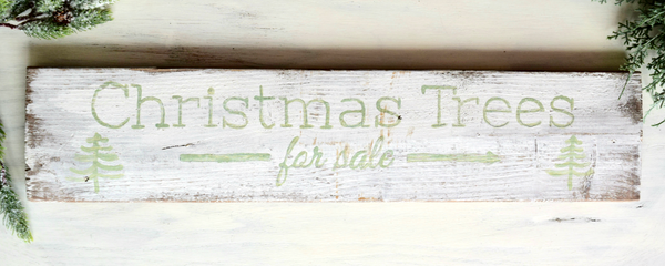 Christmas Tree for Sale