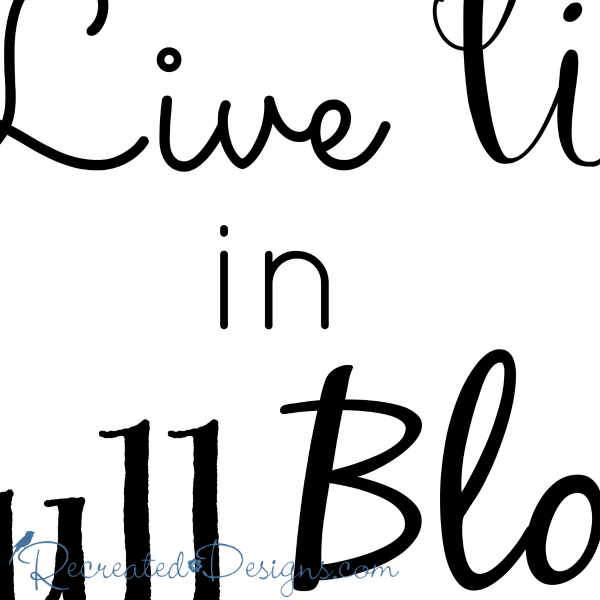 Live Life in Full Bloom